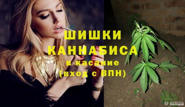 ПСИЛОЦИБИНОВЫЕ ГРИБЫ Михайловка