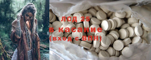 ПСИЛОЦИБИНОВЫЕ ГРИБЫ Михайловка