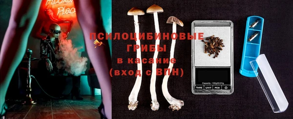 ПСИЛОЦИБИНОВЫЕ ГРИБЫ Михайловка
