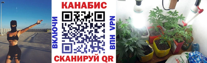 Канабис MAZAR  Горбатов 
